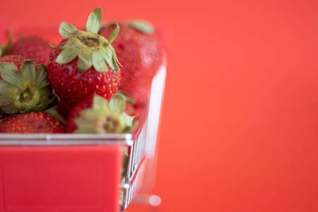 Small cart full of fresh ripe strawberries against a red background. Close-up, copyspace side view. Large healthy and tasty berry store conceptの写真素材