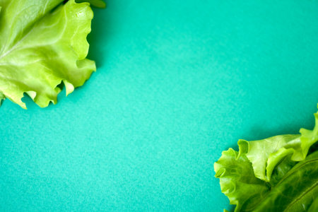 Lettuce leaf on green background with space for text. The concept of healthy and vegan food.
