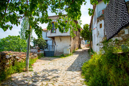 Narrow streets in a Turkish city on a summer and sunny day with old and masonry wooden houses. The concept of old and beautiful architecture as well as tourism and travel.の写真素材