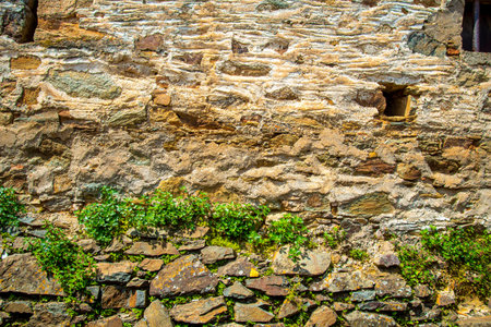 Planting plants in retaining walls. Gardening in a dry stone wall. The texture of stone and plants.