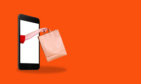 Contemporary art collage depicting a shopaholic girl with a paper bag standing at her phone screen. Online shopping concept, online shopping, network, app, and advertisingの写真素材