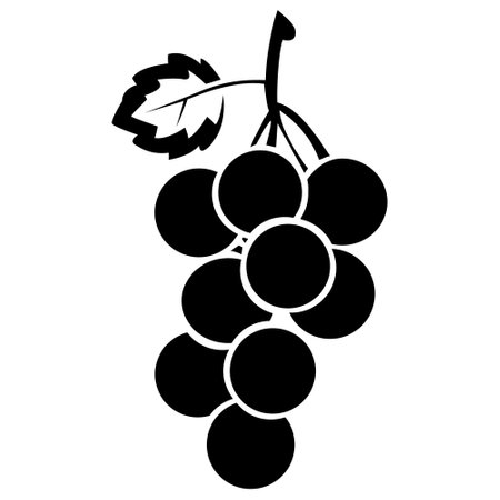 Black silhouette of grapes, branch with grapes. Vector illustration.のイラスト素材