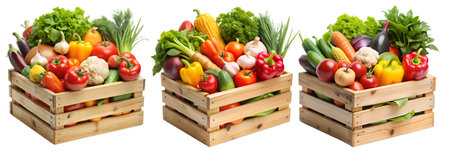 A set of vegetable crates on a white background. The concept of tasty and healthy food.の写真素材