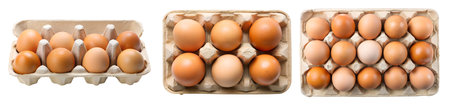 A set of raw eggs in a box on a white background. Food and nutrition concept.