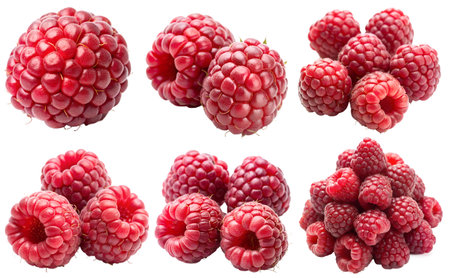 A set of raspberries on a white background. The concept of delicious and healthy berries.の写真素材