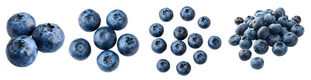 Set of blueberries isolated on a white background. Blueberries with leaves, closeup. Collection of fresh blueberries.の写真素材