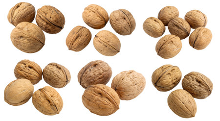 A set of whole walnuts isolated on a white background. The concept of tasty and healthy food.