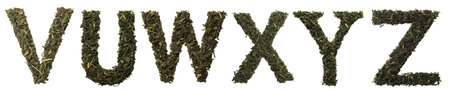 Green Herbs English Alphabet VZ. Herbal tea of dried leaves isolated on a white background. Writing from natural material. texture. Top viewの写真素材