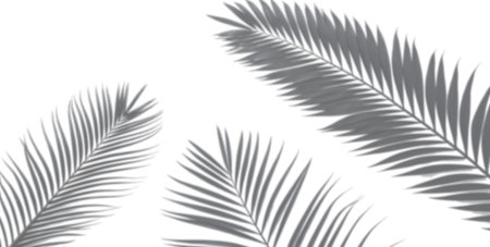 Three palm leaves are displayed in an artistic manner against a light background, highlighting their...