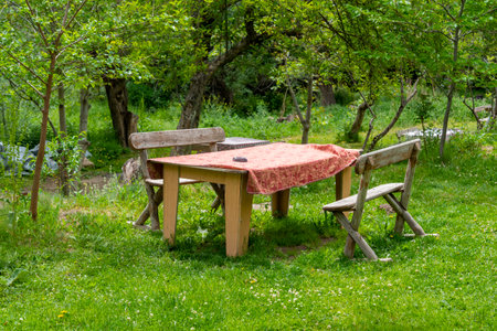 A serene outdoor dining space featuring several raised picnic tables adorned with colorful tablecloths and surrounded by vibrant green grass and trees.の写真素材