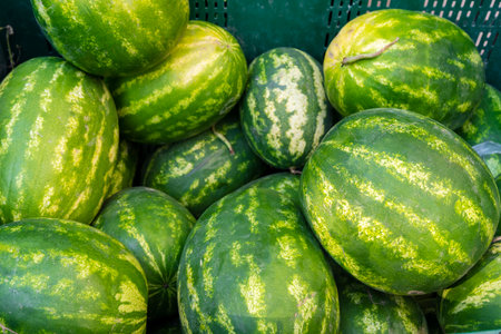 A variety of watermelons are neatly piled in a green basket at a market. Their vibrant green stripes highlight the freshness and abundance of summer fruits.の写真素材