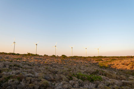 Wind turbines rise majestically against a backdrop of golden light and clear skies, set in a...