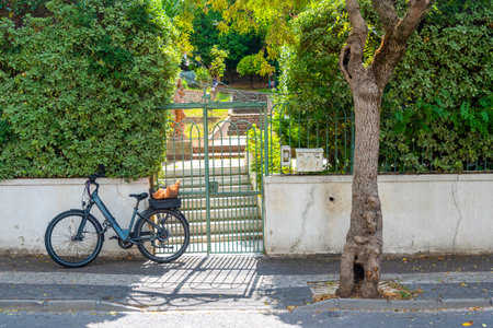 A black bicycle is parked next to a green gate surrounded by lush greenery in a sunny park. The...