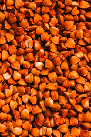 lots of fresh grains of buckwheat background.の写真素材