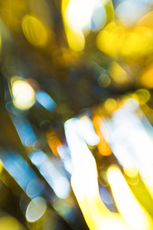 Beautiful nature green and yellow bokeh  background