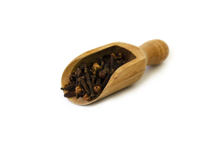 Watercolor wooden spoon with dried cloves. Hand drawn aromatic spice isolated on white. Element for cooking, recipe, drink, packaging design. Natural ingredient for seasoning.の写真素材