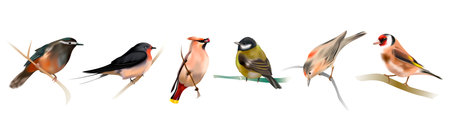 A set of birds sitting on a branch. vector illustrationのイラスト素材