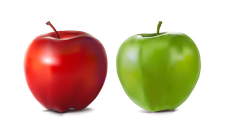Green and red apple is isolated against a white background. vector illustrationのイラスト素材