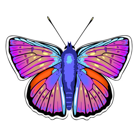 Colorful purple, orange and blue butterfly isolated on white background. Concept of beautiful nature insect. vector illustrationのイラスト素材