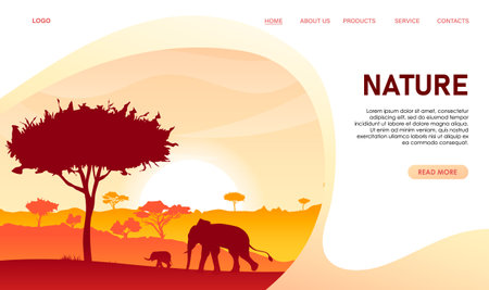 Travel web design landscape. Concept of website about nature. African elephant silhouette, hills, acacias. Savannah. Tourism, natural explore, online adventure app banner. vector illustrationのイラスト素材