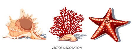 Starfish, coral, seashell ocean life. under water sea world. Aquarium decoration corals. Red reef for design, print, fabric, textile, decor, art, icon Isolated on white background. vector illustrationのイラスト素材