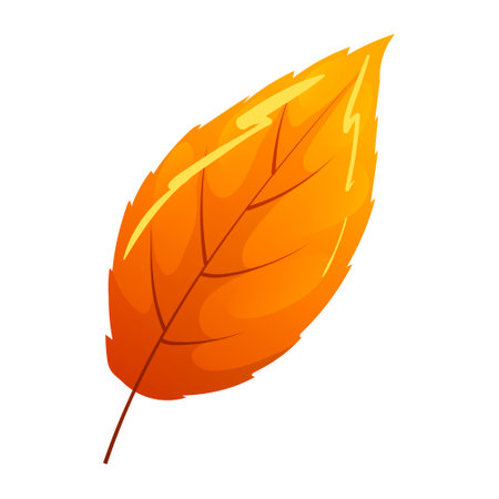 Vibrant detailed colorful autumn leaf isolated on white background. Bright birch november seasonal graphic design for decoration, ornate with red and orange colors of tree leaves. vector illustrationのイラスト素材