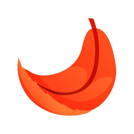 Autumn leaf isolated on white background. Elegant logo with smooth curve shape of dry leaf. Seasonal graphic design for decoration, ornament with red and orange colors of forest. vector illustrationのイラスト素材