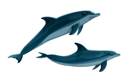 Pair of dolphins swimming isolated on white background. Marine wild life concept. Realistic style logo with couple of dolphins. sea animal image. Friendly ocean mammal character. vector illustrationのイラスト素材