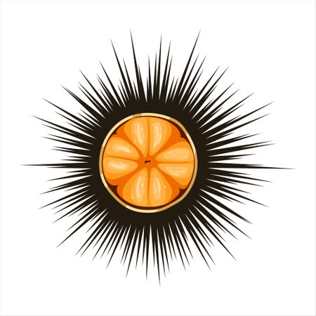 Sea urchin isolated on white background. Fresh delicacy meat inside shell with sharps. Seafood ingredient for healthy diet menu. Cutted exotic marine reef food for sea restaurant. vector illustrationのイラスト素材