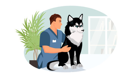 Veterinarian man with husky dog. Black Eskimo dog with blue eyes at vet appointment. Profession of home pet doctor is veterinarian. Vector illustration isolated on white background. veterinary clinicのイラスト素材