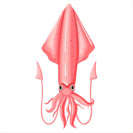 Squid pink color design flat. Seafood squid with tentacles isolated on white background. Delicacy for gourmet. wild life underwater world. Ocean creature sea food image for menu. vector illustrationのイラスト素材