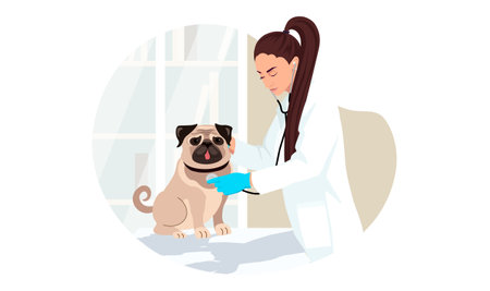 Bulldog at veterinary visit in medical clinic office. Pug dog puppy not anxiety and stress on therapy at vet appointment of veterinarian young woman. Vector illustration isolated on white backgroundのイラスト素材