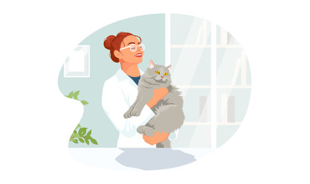 Cat at veterinary visit in medical clinic office. Gray kitty in hands not anxiety and stress on therapy at vet appointment of veterinarian young woman. Vector illustration isolated on white backgroundのイラスト素材