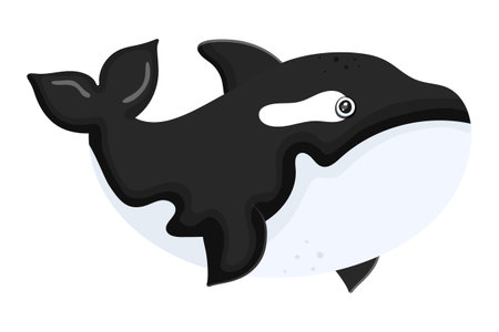 Ocean killer whale. Aquatic creature icon isolated on white background. Sea animal in cartoon style. Funny tropic underwater wild life, colorful exotic aquarium fish collection. Vector illustrationのイラスト素材