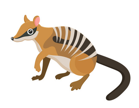 Cartoon animal character. Cute numbat. Exotic rare pet. Wild mammal. Funny zoo. Fluffy creature with stripes. Adorable smile. Child poster. Isolate on white background. Vector illustrationのイラスト素材
