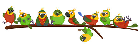 Collection of parrot, set of exotic animals. Ara, parakeet, cockatoo. Colorful wing and feather. Sitting on branch. Summer jungle bird. Red, green and yellow color. Vector illustrationのイラスト素材