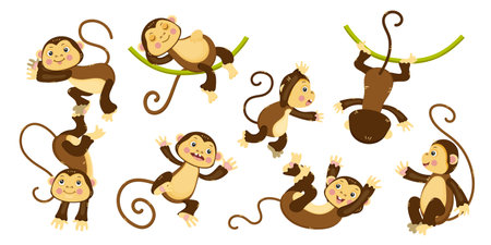 Set of monkeys, cartoon funny chimpanzee. Wild animal collection. Happy jungle mammal, cute character. Concept of kid toy. Ape baby. Isolated on white background. Vector illustrationのイラスト素材