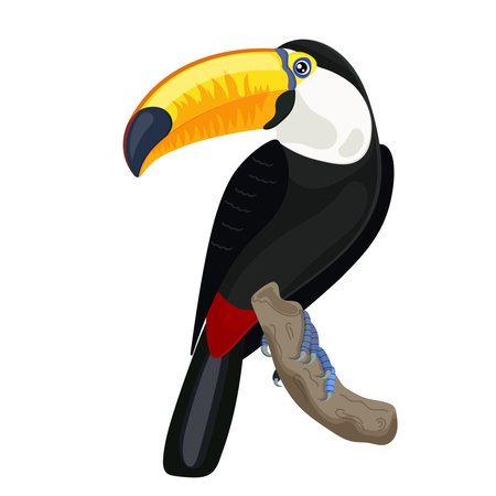 Toucan bird sitting on branch, colorful cartoon bird, huge yellow beak, tropical fauna. Exotic...