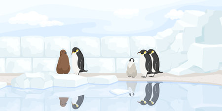 Arctic penguin standing near ice wall in zoo. North vacation. Natural wildlife. Cartoon design. Cute baby character. Winter landscape. Wild polar earth with iceberg. Vector illustrationのイラスト素材
