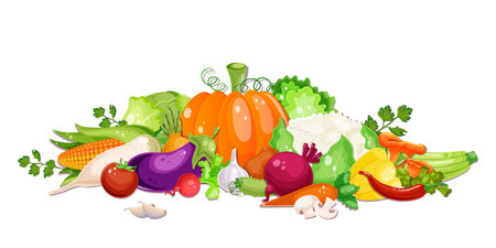 Various fresh vegetables. Healthy vegetarian food. Collection of pepper, pumpkin, carrot, mushroom, tomato, potato, corn, plants. Vitamin diet, autumn harvest. White background. Vector illustrationのイラスト素材