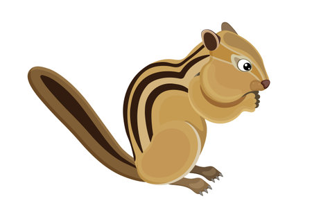 Cute cartoon chipmunk, happy childish design. Wildlife fluffy squirrel, adorable zoo character, playful pet, brown furry rodent. Standing pose. Isolated on white background. Vector illustrationのイラスト素材