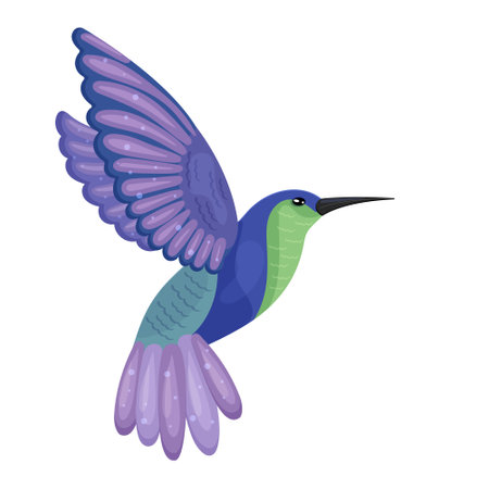Flying cute beautiful hummingbird picture. Colorful wonderful exotic bird. Wildlife nature, purple feather, wing and tail, long beak. Isolated on white background. Vector illustrationのイラスト素材