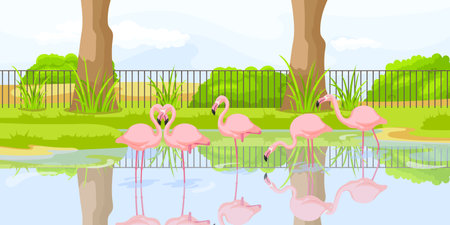 African flamingo drinking water in pond near fence in zoo. Safari vacation. Natural wildlife. Cartoon design. Cute character. Picturesque landscape. Wild savanna with tree. Vector illustrationのイラスト素材