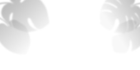 Blurred effect of monstera leaves overlay. Foliage with sunlight. Presentation with mock up, copy space, template. Realistic plant. Tropical tree leaf. White background. Vector illustrationのイラスト素材