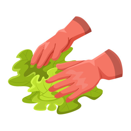 Hands arranging green leaves, isolated on white background. Vector illustrationのイラスト素材
