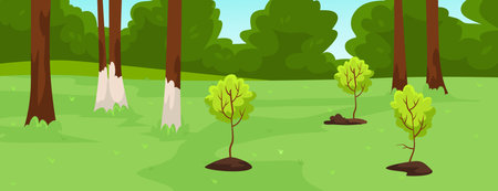 Young trees planted in forest with green grassland. Vector illustrationのイラスト素材