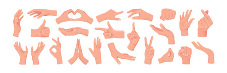 Set of various human hand gestures in cartoon style on white background. Vector illustrationのイラスト素材