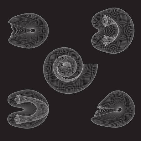 Collection of mollusk fossils. Abstract vector illustrationのイラスト素材