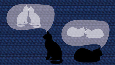 Couple of black cats against the background of the night sky. Vector illustration