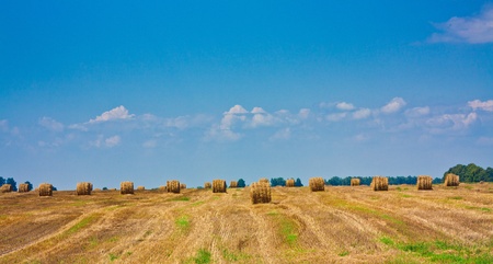 Amazing Golden Hay Bales on a perfect sunny dayの写真素材